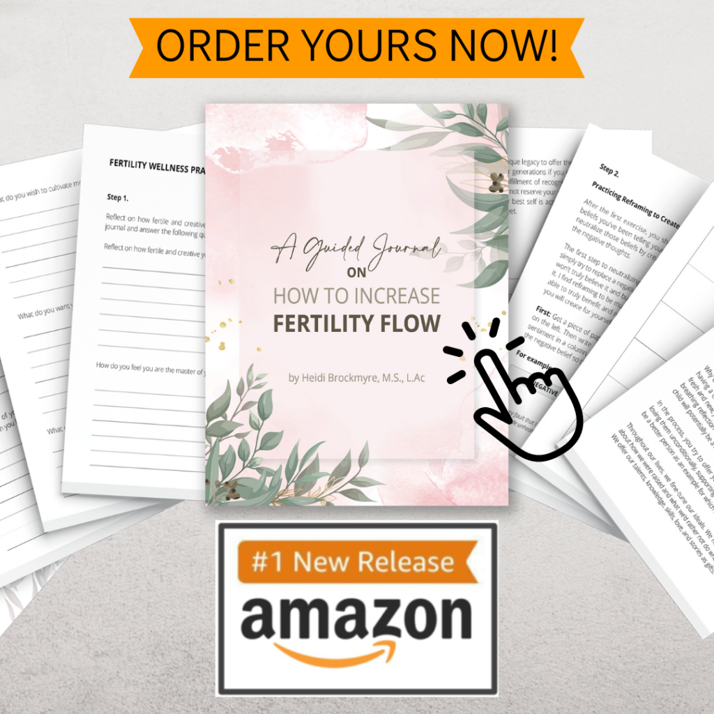 A Guided Journal on How to Increase Fertility Flow by Heidi Brock Myre