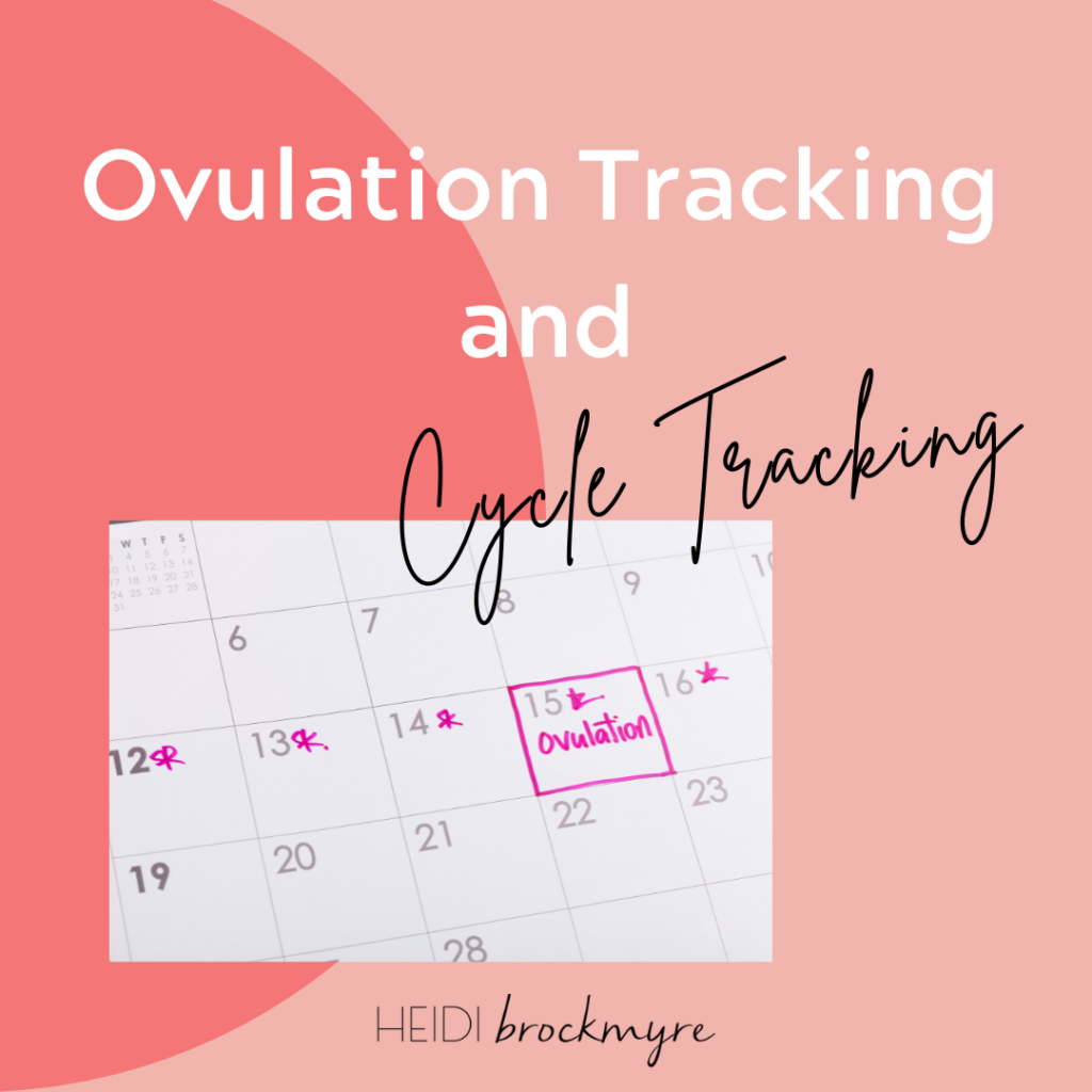 Ovulation Tracking Blog