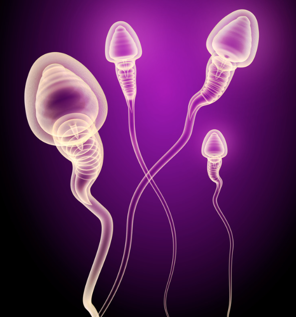 improve poor or abnormal sperm